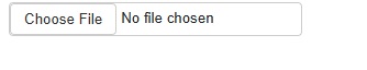 no_file_chosen